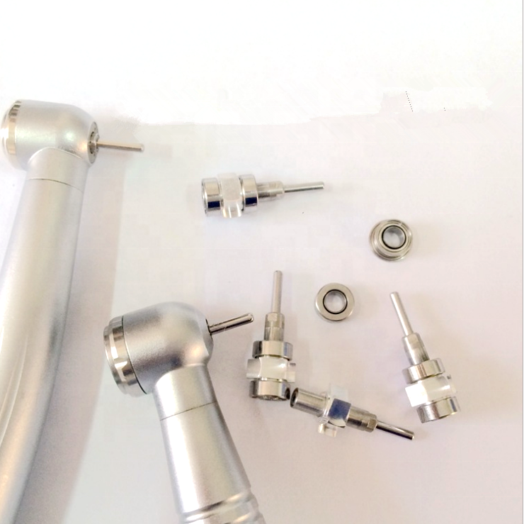 Dental Bearing Replacement